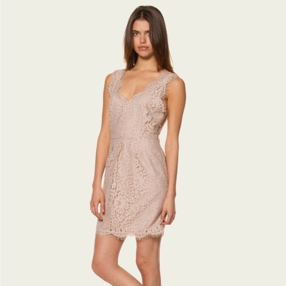 NWT Joie Rori Lace Cocktail Dress Nude Beige size XS